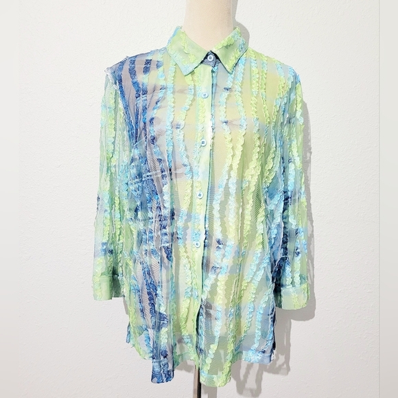 Erin London SZ XL Sheer Blouse Green Blue Stripe Textured Mesh Button Front Top - Picture 1 of 12